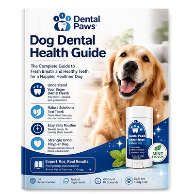 Pet Dental Health Guide